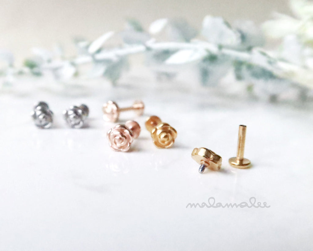 18G/20G Double Dainty Cartilage Threadless Push Pin Earrings Conch Stud  Tiny Stud Earrings Cartilage Stud Helix Tragus Flat Back 